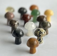 Load image into Gallery viewer, Mini Mushrooms