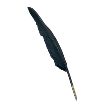 Load image into Gallery viewer, The Shadow Scribe – Black Goose Feather Quill with Brass Nib Holder